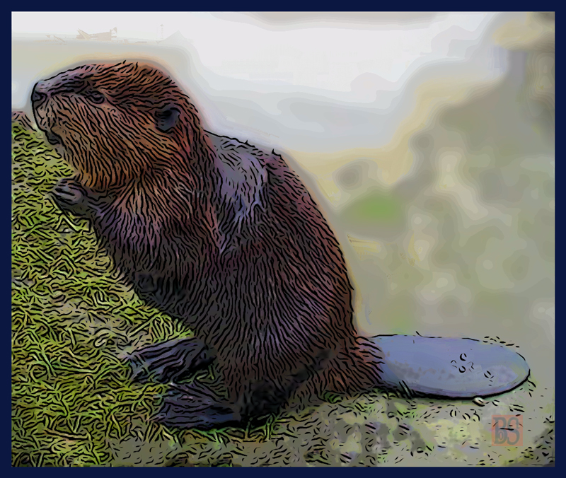 03-beaver-Final-painting-800.